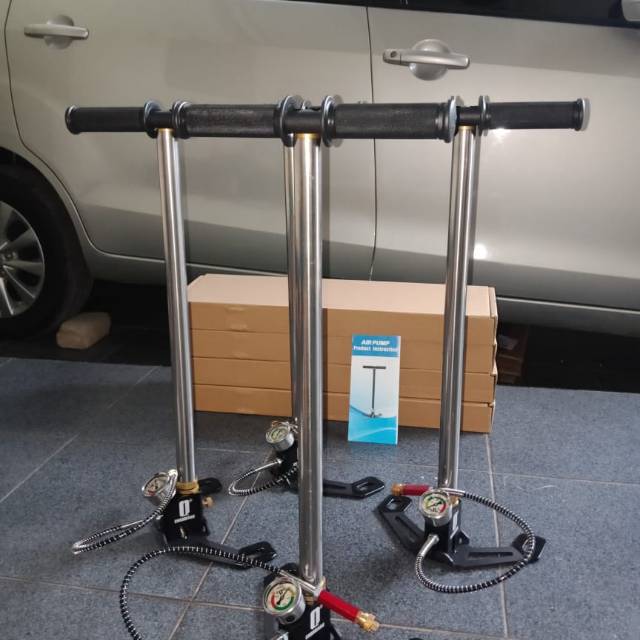 anthosebelasnovember