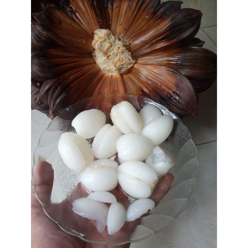

buah nipah atau buah dahon rawa segar 1000gr