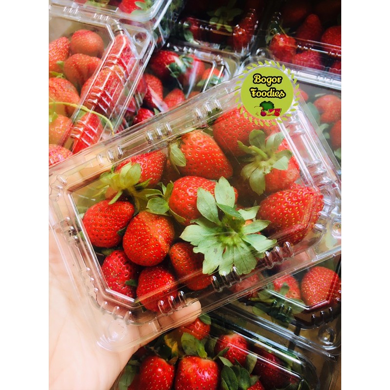 

Strawberry Segar 250 Gram - Fresh Strawberry - Strawberry Bogor Foodies