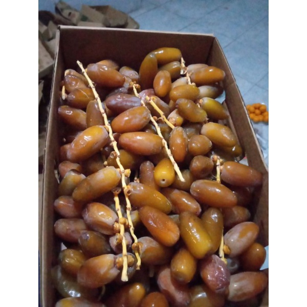

kurmaruthobkurmamudamatangkurmaruthobtangkaikurmamudapromil