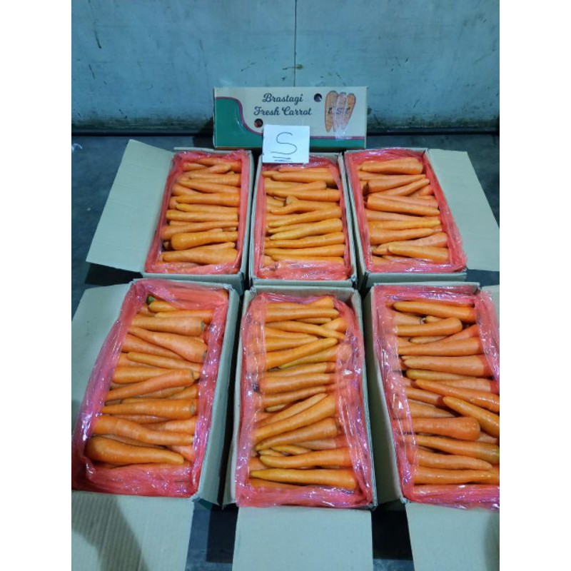 

Wortel 10kg size S