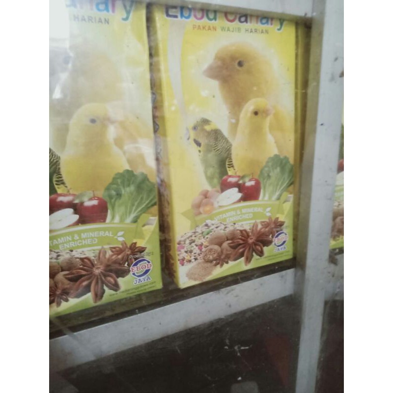 Ebod Kenari Kardusan