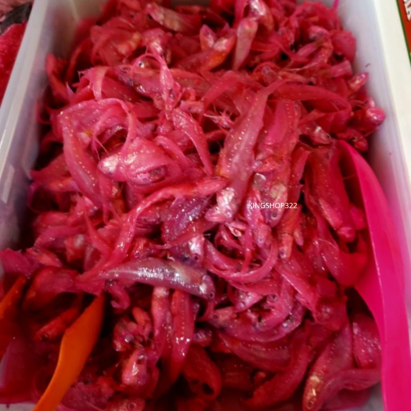 FUNG MUI KOI / PEDAK IKAN / HAKOI IKAN / FUNG MUI KOI KALIMANTAN