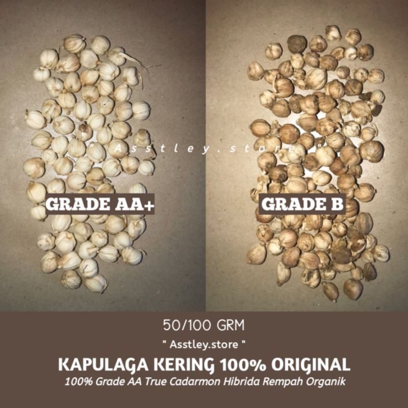 

Kapulaga Kering Grade A+ 100 gr True Cadarmon Quality Kapulaga Hibrida Local