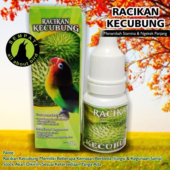 Obat untuk lovebird ngekek panjang