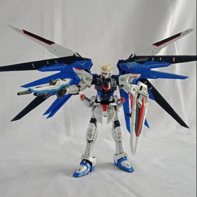 RG Bandai Gundam Freedom