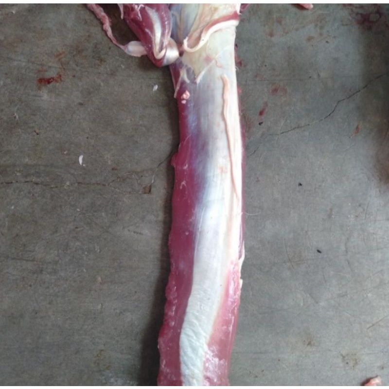 

Has Luar Kambing 1/2kg