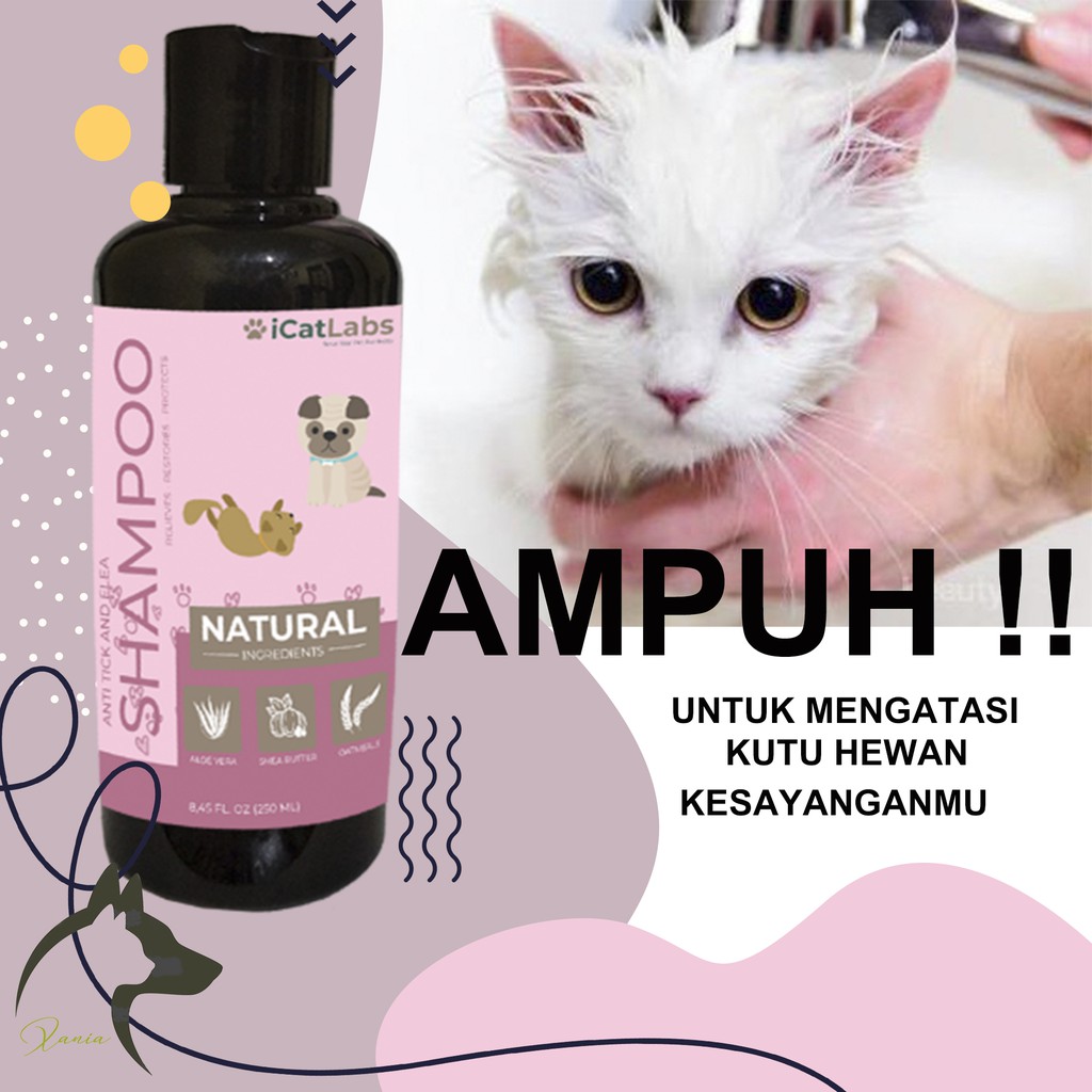 SHAMPOO KUCING u0026 SHAMPOO ANJING ANTI KUTU - CAT FOOD JAMUR KUCING 