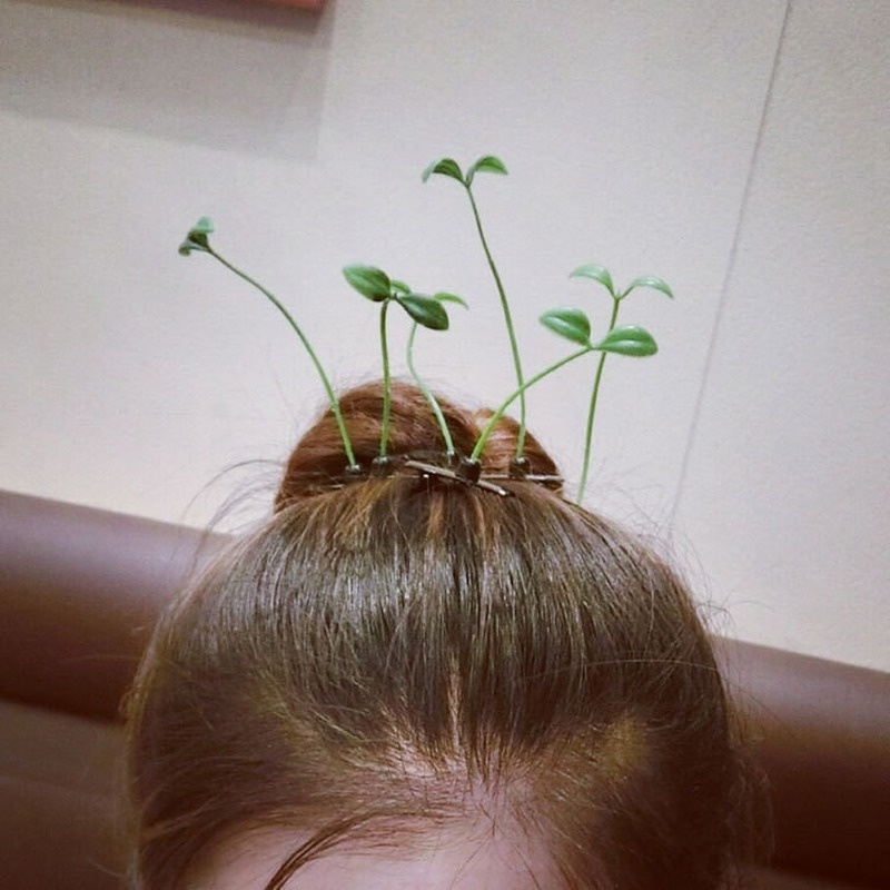 Jepit Rambut Bentuk Bunga Dan Rumput Untuk Anak