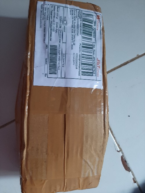 Bibit Tanaman Bunga Mawar Mini Pink I Babyrose Pink