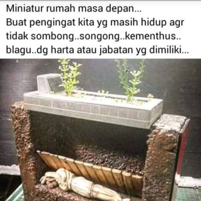 andizhafirahbangsawan