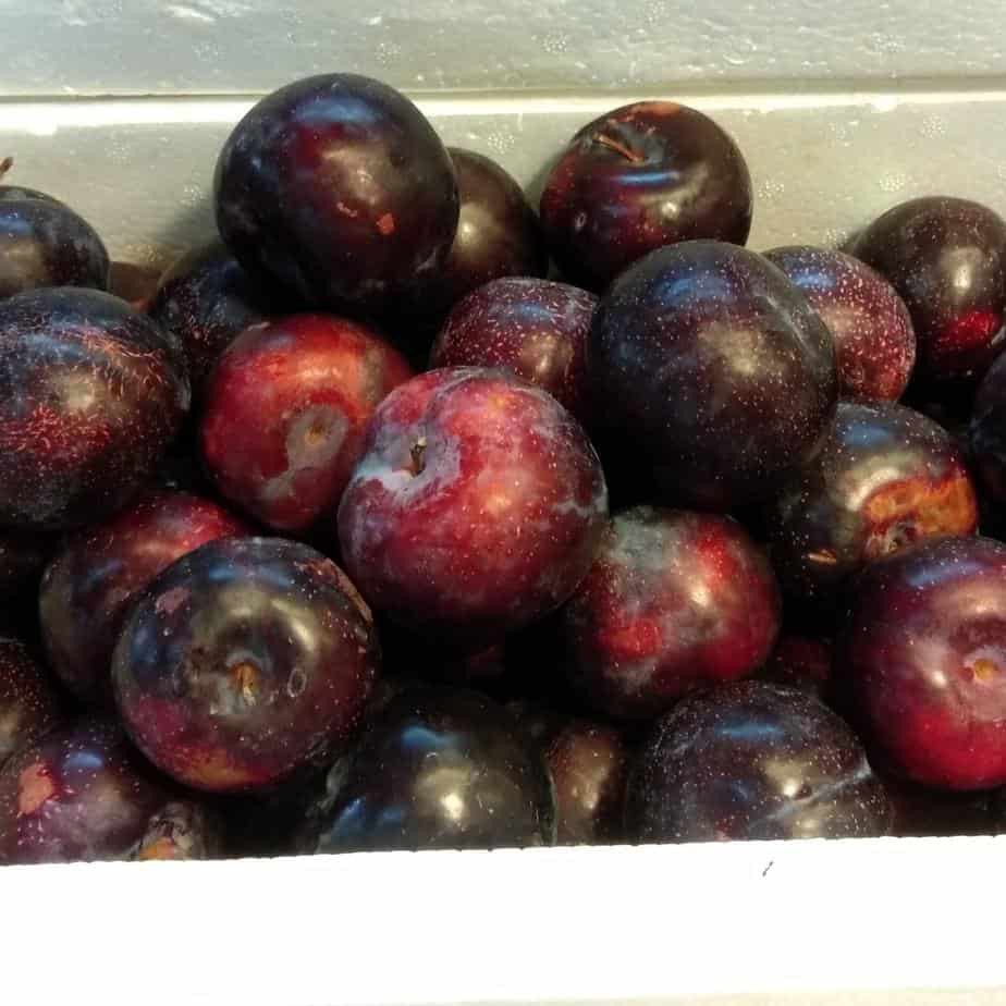 

Plum 1kg