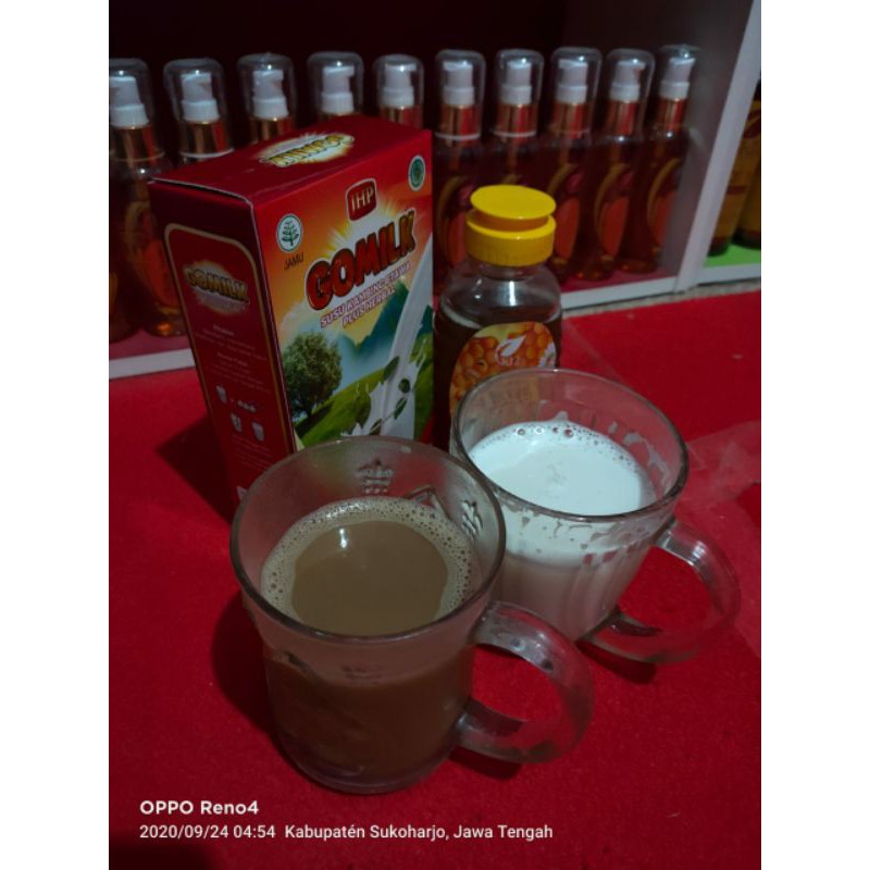 

susu kambing gomilk