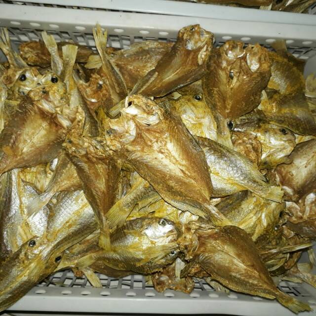 

Ikan galama kering