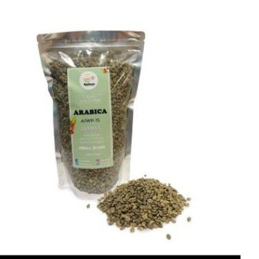 

Green bean A/WP -1S jampit panen2020