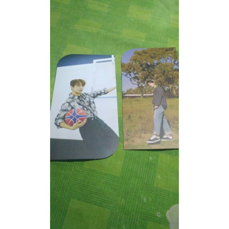 

seventeen henggarae bookmark BM Dino dk