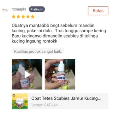 Obat Scabies Kucing Kelinci Anjing Guinea pig Hair Loss Sugar Glider ANTISCAB