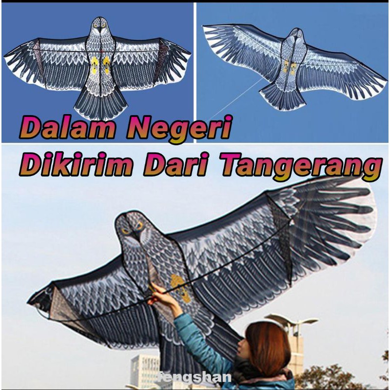 Kite Layangan Elang Jumbo 2.4 meter (Layang Hias) Bonus Benang DALAM NEGERI