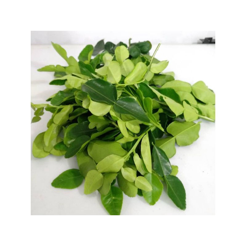 

Daun jeruk per pack - daun jeruk bumbu masakan - Rempah Rempah