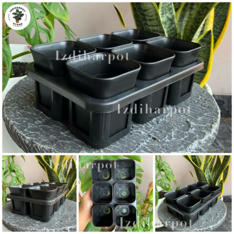 1 set Tray + POT BUNGA NKT KOTAK 7 CM HITAM | tray semai bibit