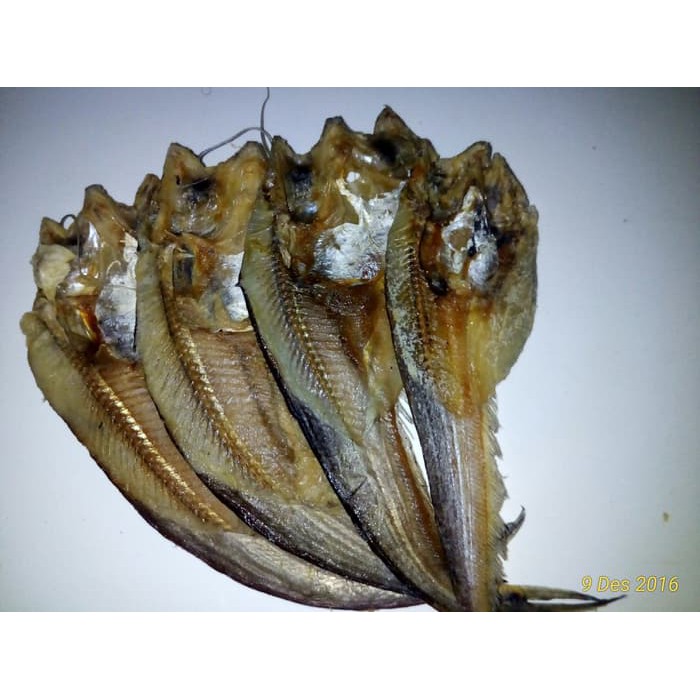 

Ikan Kering Lais Asal Kalimantan Tengah