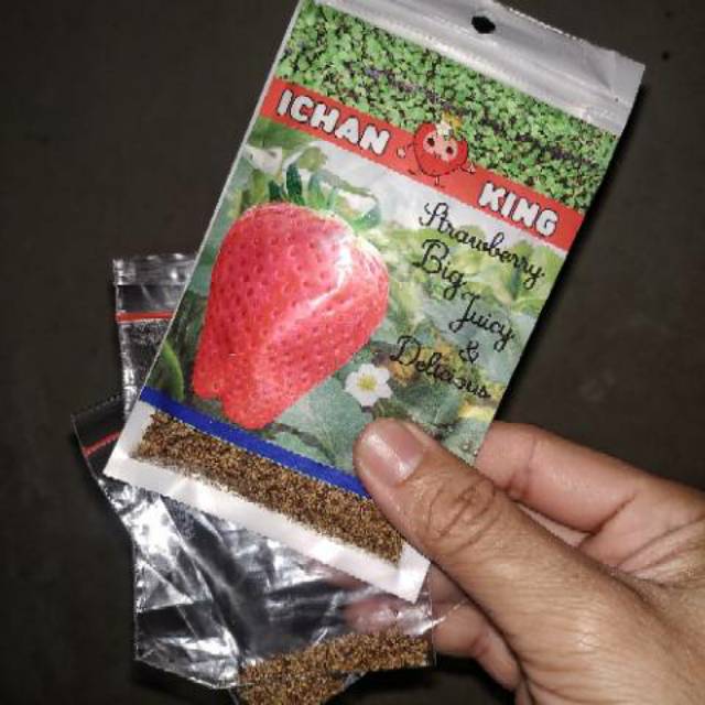 Benih/Seed Strawberry ICHAN KING kemasan 10 seed