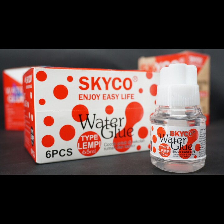 

LEM CAIR SKYCO LEMPI PER BOX
