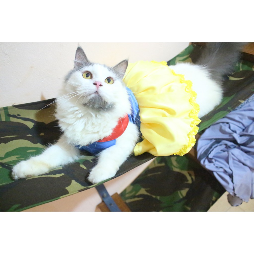 Baju Kucing Model Dress 9 Baju Kucing Snow White Lucu Baju