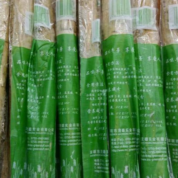 

[KODE PRODUK VFWID6378] BURDUCK (AKAR GOBO/AKAR KETELA JEPANG)