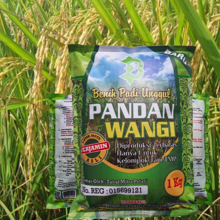 ◘ Benih Padi Pandan Wangi ➥
