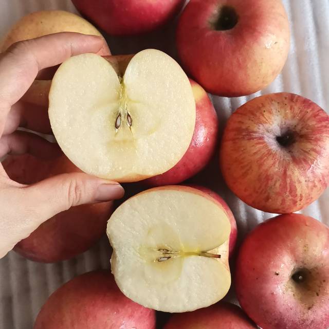 

Apel Fuji RRC 1kg manis garing apple