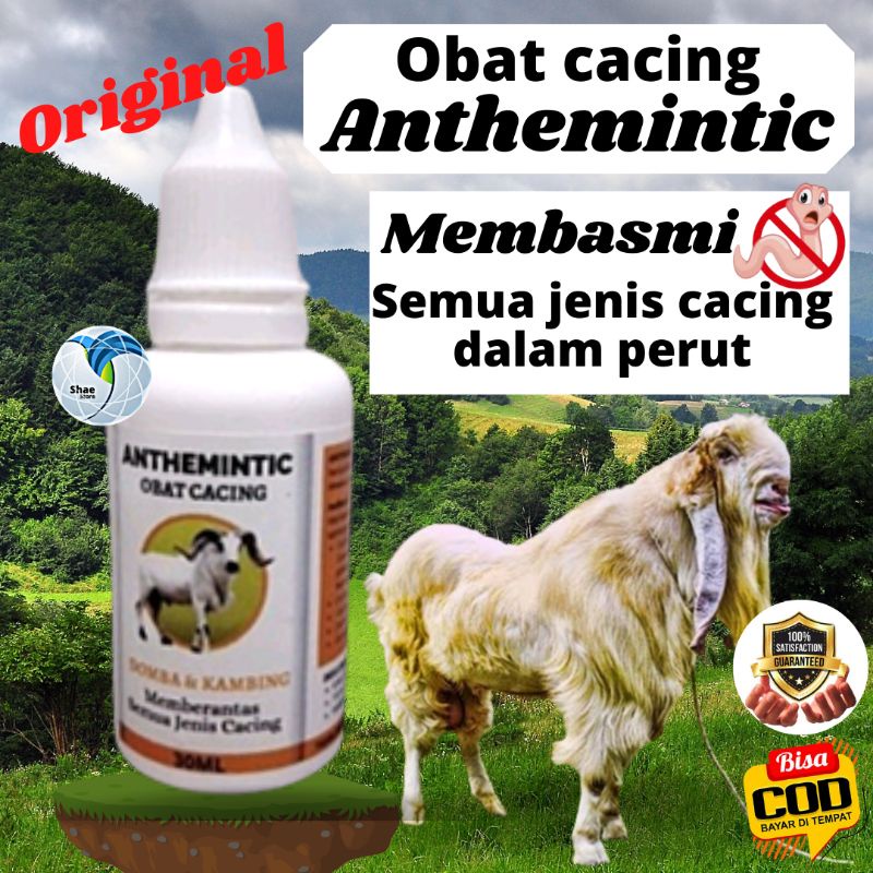 Obat Cacing Kambing Domba Ampuh ANTHEMINTIC Shaestore15