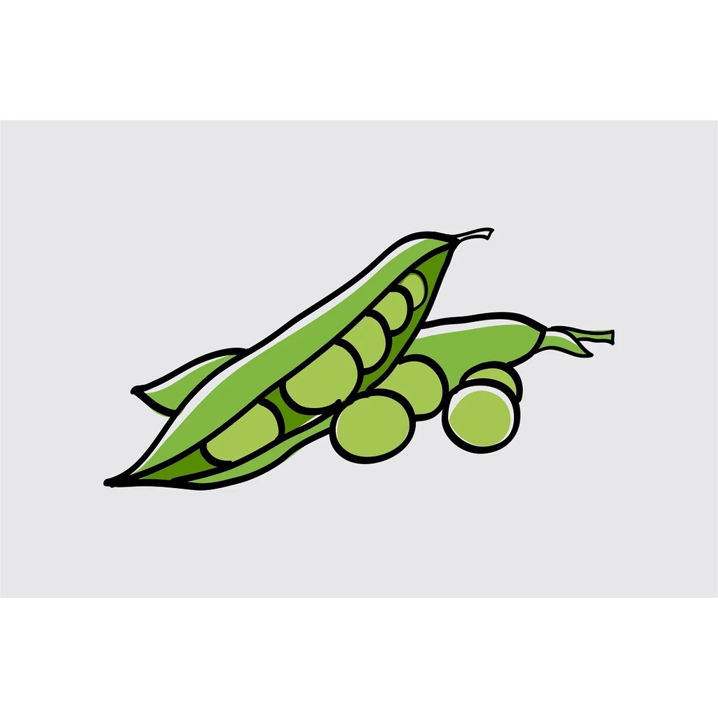 Vegetables 25 Types Of Garden Plants