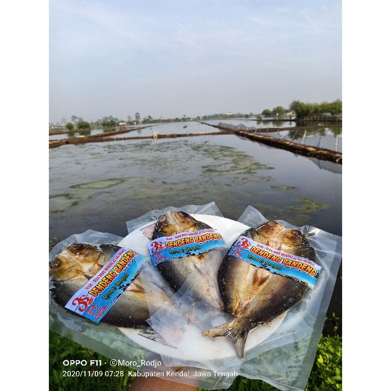 

Dendeng Bandeng Cabut Duri