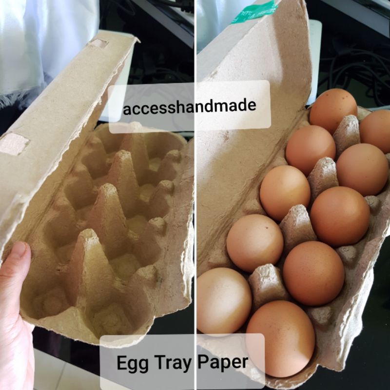 Egg tray Kardus karton properti foto kotak telor telur box