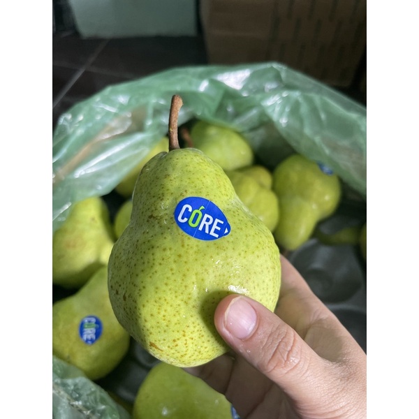

pir paccam