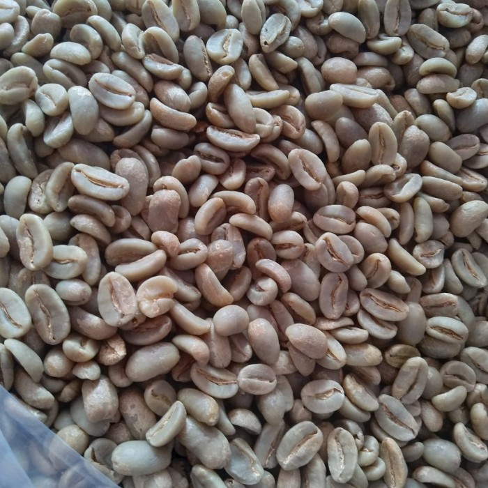 

TERMURAH BIJI KOPI GREEN BEAN ACEH GAYO FULL WASH GRADE 1 SPECIALT