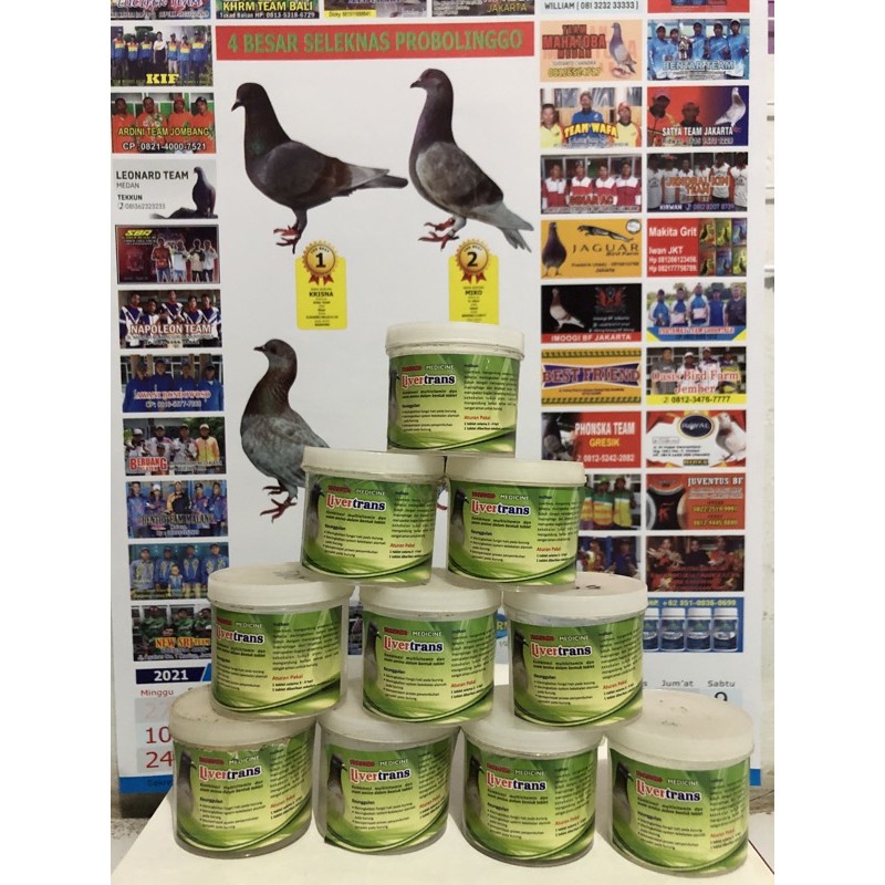 LivertransObatBurungMerpati