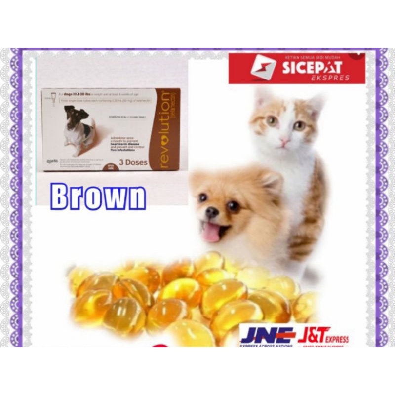 

Revolution cat BROWN 0.50ml(60mg)