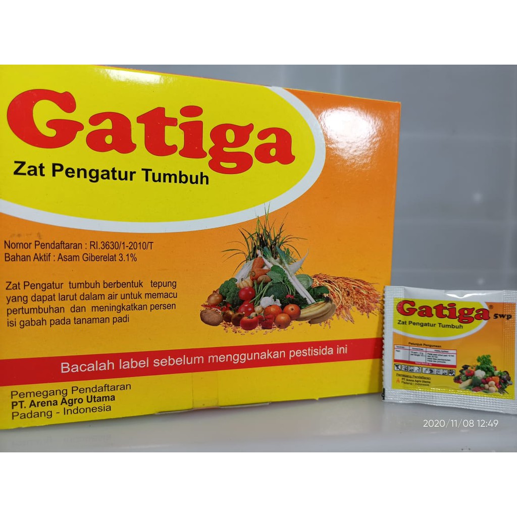 Gatiga