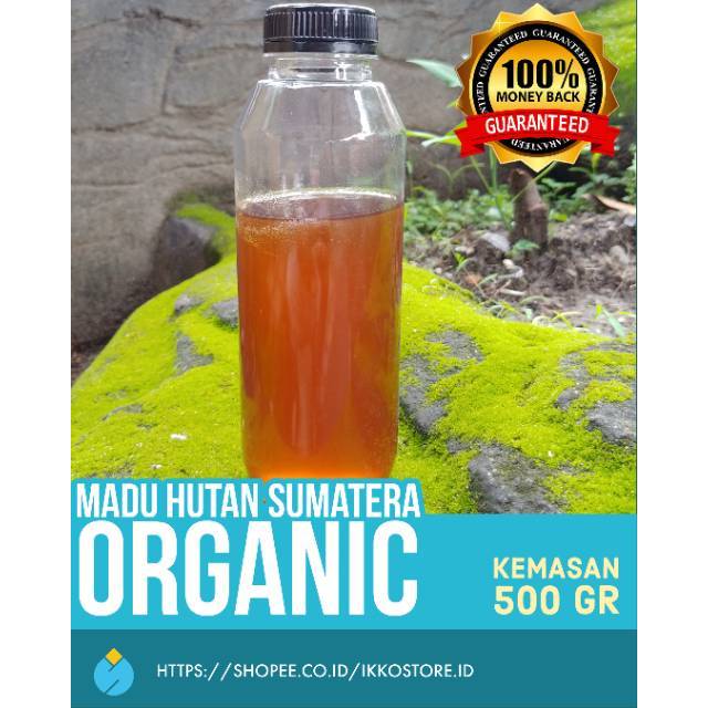 

Madu Sialang Multiflora 500 gr / Madu Liar Hutan Sumatera