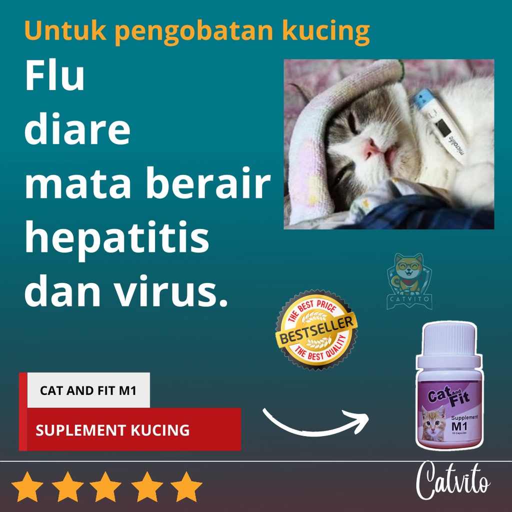 OBAT KUCING FLU PILEK MATA BERAIR DAN DIARE CAT AND FIT M1