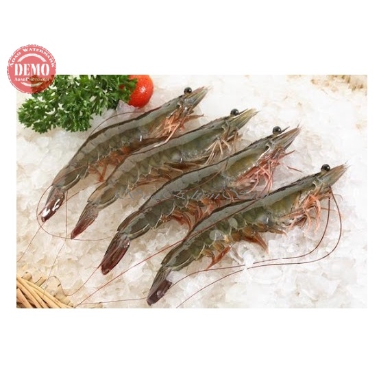 

Udang Segar Vaname / Size 50-60/1Kg