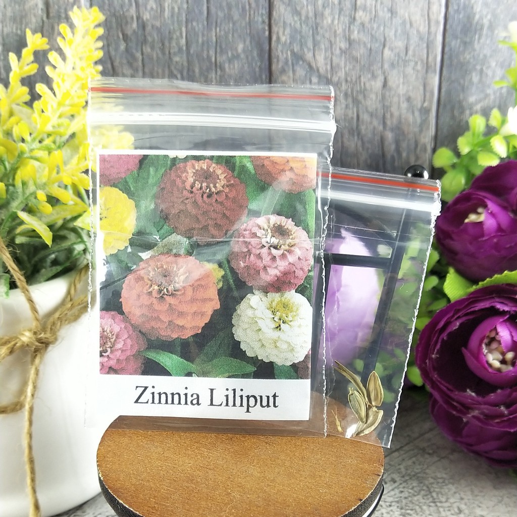 [Best Selling] 4 Seeds - Zinnia Liliput Mixed Haira Seed Biji Benih Bibit - SR0041