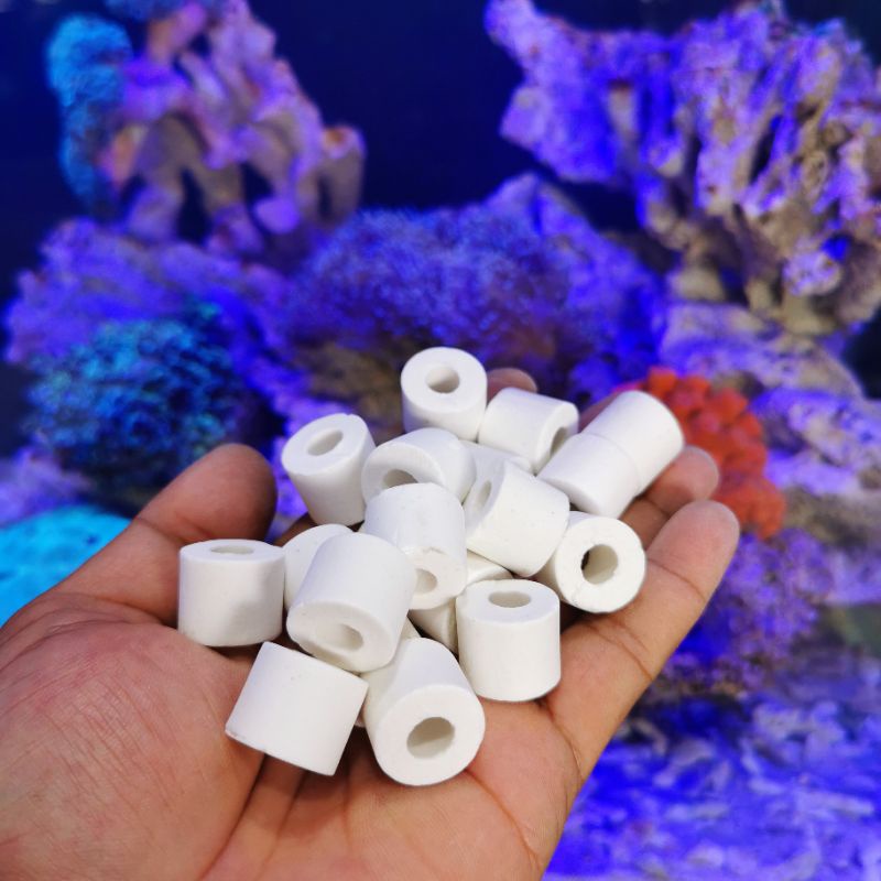 Filter Aquarium Bio Ring Media Kolam Bioring Rumah Penyaring Bakteri Kuman dan Kotoran Ikan Pembersih Penjernih Air Aksesoris Perlengkapan Akuarium Aquascape