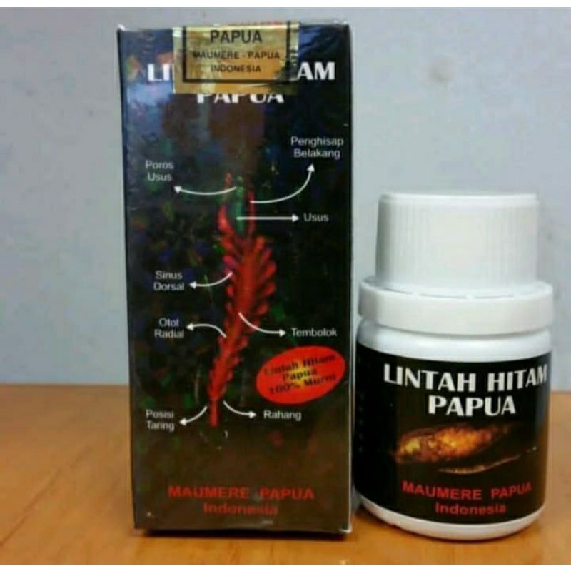 Jual Obat Pembesar Penis Minyak Lintah Hitam Papua Shopee Indonesia