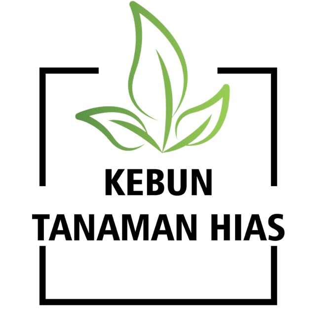 kebun.tanaman.hias