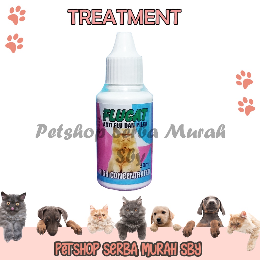 Flu Cat 30ml - Obat Flu Pilek Kucing Segala Usia