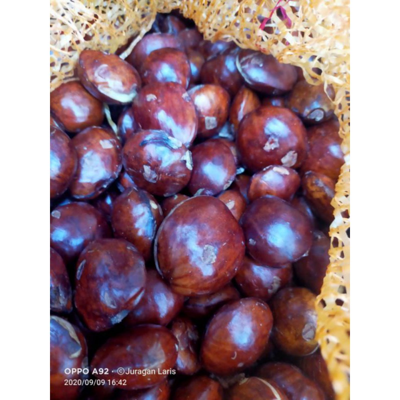 

jengkol super