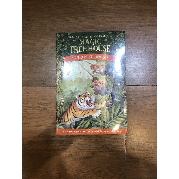 

children's fiction